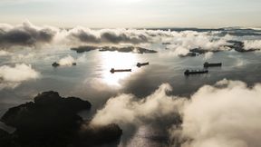 Raubfische erobern den Panamakanal