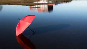 Hilft Trump am Ende dem Klima?