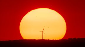 Schwarz-Rot regiert f&uuml;r eine Parallelrealit&auml;t