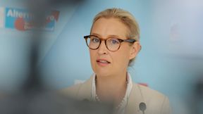 Der AfD geht der Sprit aus