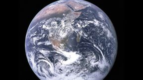 Diese Fakten werden Ihr Weltbild verändern