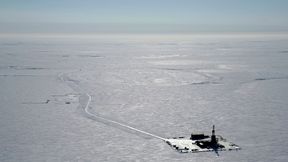 US-Regierung forciert Ölbohrung in Naturschutzgebiet in Alaska