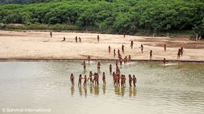 Experten zufolge gibt es weltweit noch fast 200 unkontaktierte Völker