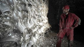 Forscher finden größtes bekanntes Spinnennetz der Welt