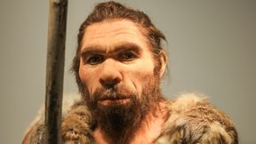 Neandertaler aßen offenbar fremde Frauen und Kinder