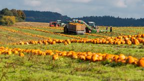 Lebensmittelhandel wird mächtiger, Verbraucher und Landwirte verlieren