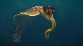 Ver&auml;nderung der Sonneneinstrahlung k&ouml;nnte Evolution angetrieben haben