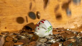 Was auf Riester folgen soll