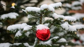 Hat es Weihnachten fr&uuml;her &ouml;fter geschneit?