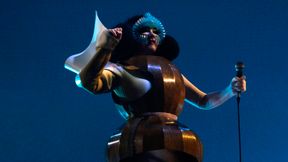 Musikerin Bj&ouml;rk ruft Gr&ouml;nl&auml;nder auf, die Unabh&auml;ngigkeit zu erkl&auml;ren