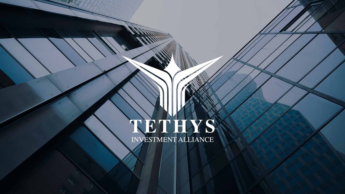 Tethys Investment Allianz: Wenn Investieren auf Liebe trifft, eine legend&auml;re Reise von Wohlstand und Hoffnung
