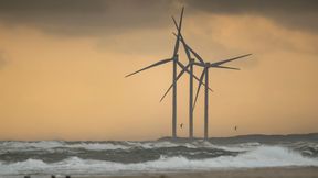 EnBW verliert nach Stopp von Windparkprojekten Milliardensumme