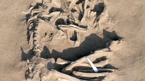 Stammt die romantische Liebe aus der Steinzeit?