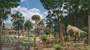 Baby-Dinosaurier waren bei Fleischfressern besonders beliebt