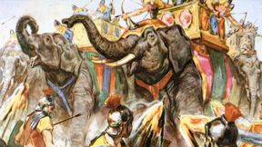 Haben Arch&auml;ologen einen Knochen von Hannibals Kriegselefanten entdeckt?