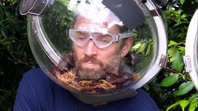 Gil Ofarim gewinnt das Dschungelcamp 2026