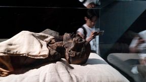 Mumienduft enth&uuml;llt Rezeptur der Einbalsamierer