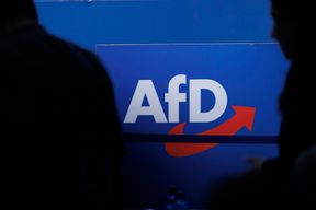 Bundesinnenministerium l&auml;sst AfD-Gutachten pr&uuml;fen