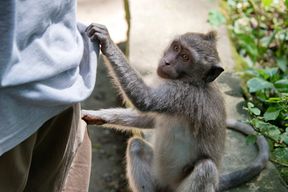 Wer hat die Sonnenbrille geklaut?