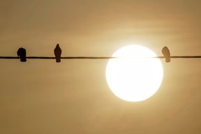 Der Saharastaub ist da und macht Autofahrern, Joggern und Allergikern zu schaffen