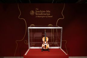 Jetzt wissen wir, woher Stradivari das Holz f&uuml;r seine Geigen holte