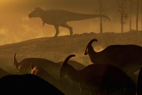 Hatte Tyrannosaurus rex einen nahen Verwandten?