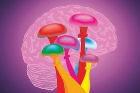 Hochdosiertes Psilocybin bei schweren Depressionen wirksam