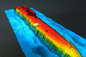 Gesunkenes russisches Atom-U-Boot strahlt radioaktiv &ndash; Meerestiere mit C&auml;sium belastet