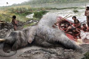 Als Neandertaler einen Elefanten schlachteten
