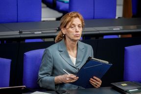 Auch Demokratierettern darf man Fragen stellen