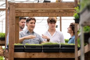 Katy Perry gibt Justin Trudeaus Sohn musikalische Ratschl&auml;ge