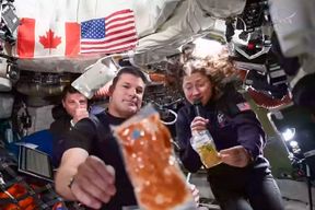 Erst einen leckeren Krabbencocktail, dann die Mondumrundung