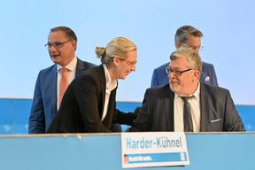 Millionenschwere AfD-Spende aus &Ouml;sterreich war illegal