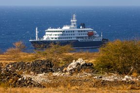Argentinien sucht nach Ursprung von Hantavirus-Infektionen in Ushuaia