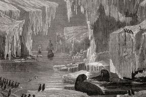 Vier weitere Todesopfer der Franklin-Expedition identifiziert